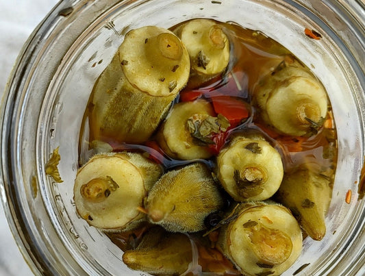 House Pickled Okra