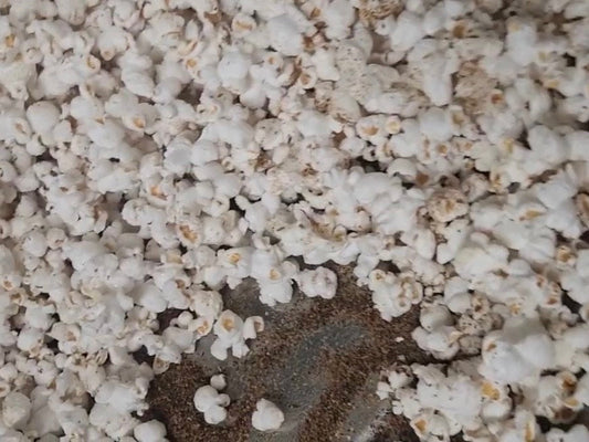 Dusted Popcorn