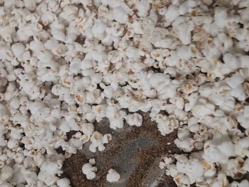 Dusted Popcorn